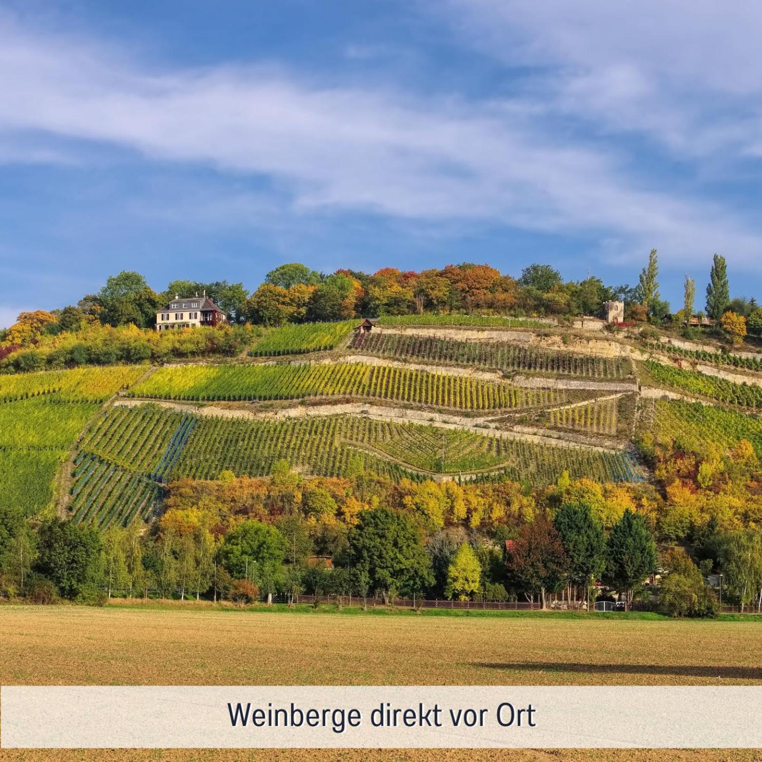 Apartmenthaus Schlag Naumburg  Buitenkant foto